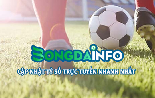 Theo dõi tỷ số trực tuyến và keo nhà cái tại Bongdainfo – Trải nghiệm thực tế của tôi dành cho anh em bet thủ